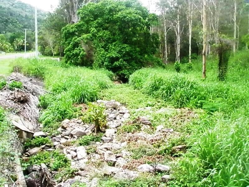 Lot 52 Orchid Road, Cannonvale QLD 4802