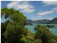56 Harbour Avenue, Shute Harbour QLD 4802