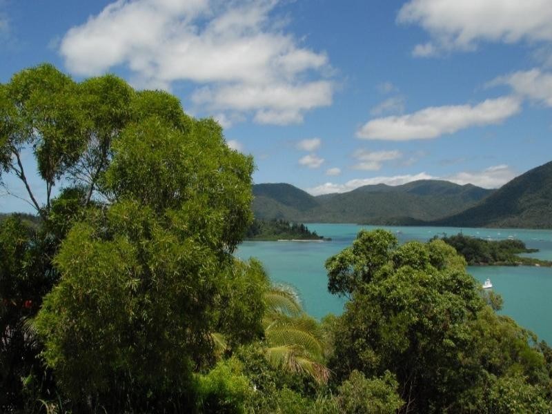 56 Harbour Avenue, Shute Harbour QLD 4802