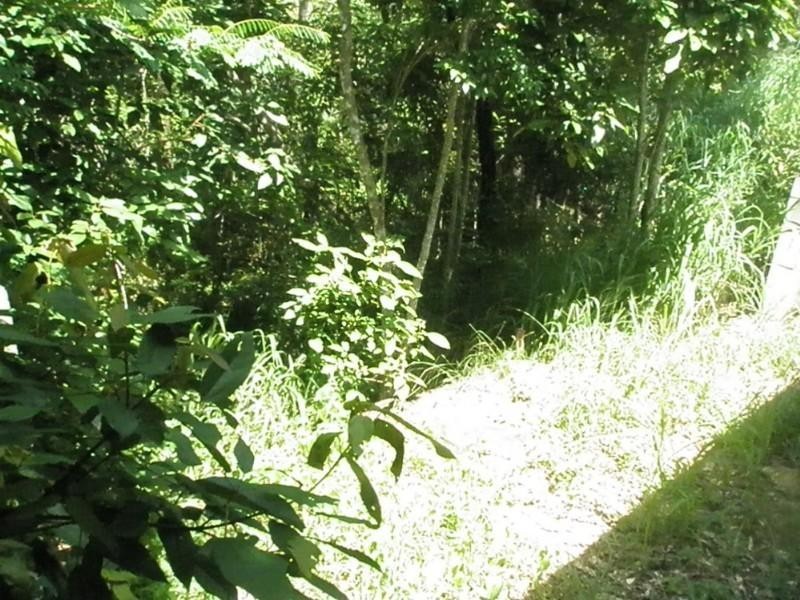 Lot 82 Moonlight Drive, Jubilee Pocket QLD 4802