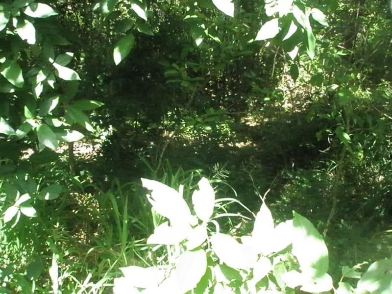 Lot 82 Moonlight Drive, Jubilee Pocket QLD 4802