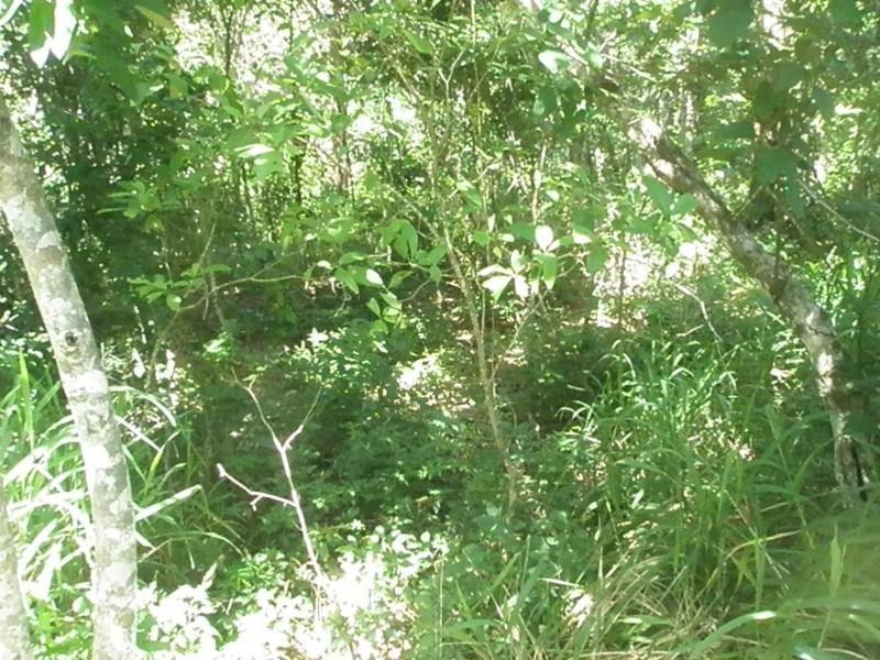 Lot 82 Moonlight Drive, Jubilee Pocket QLD 4802