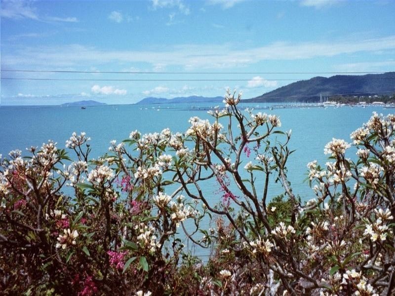 8 Coral Esplanade, Cannonvale QLD 4802