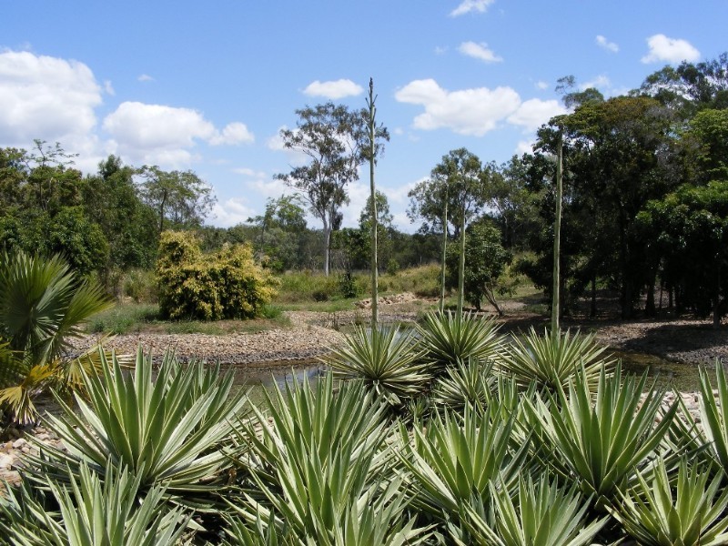 Lot 32 Botanica Drive, Cannonvale QLD 4802