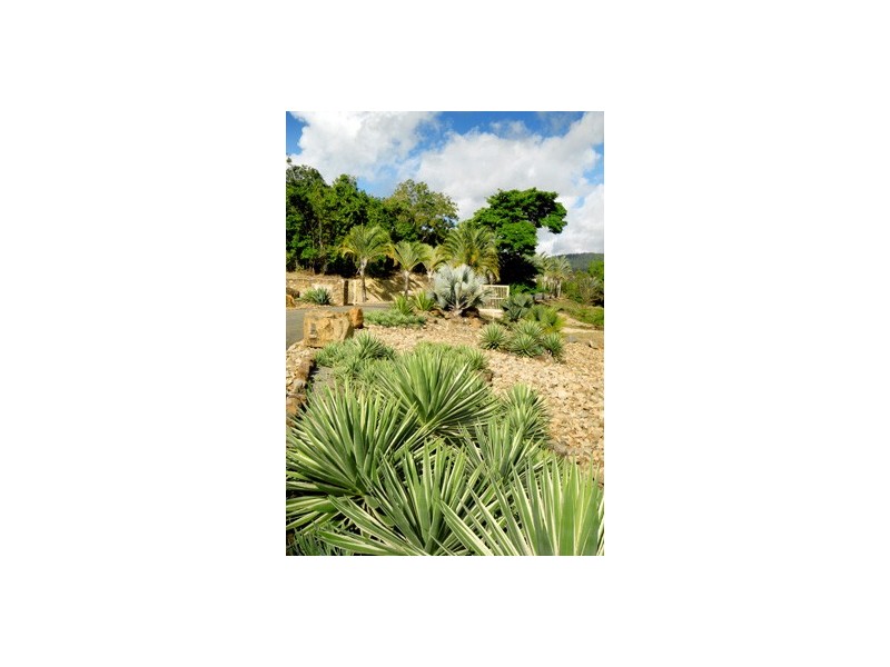 Lot 32 Botanica Drive, Cannonvale QLD 4802