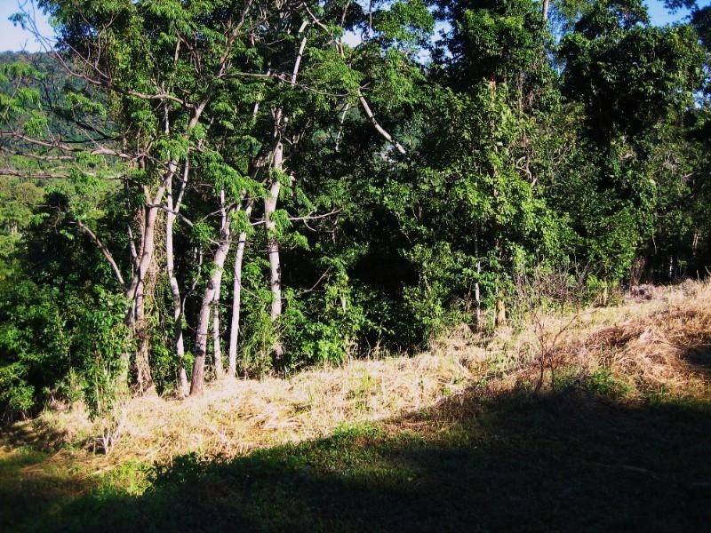 43 Kingfisher Terrace, Jubilee Pocket QLD 4802