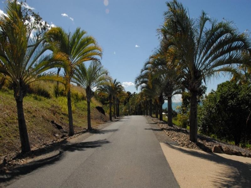 Lot 16 Botanica Drive, Cannonvale QLD 4802
