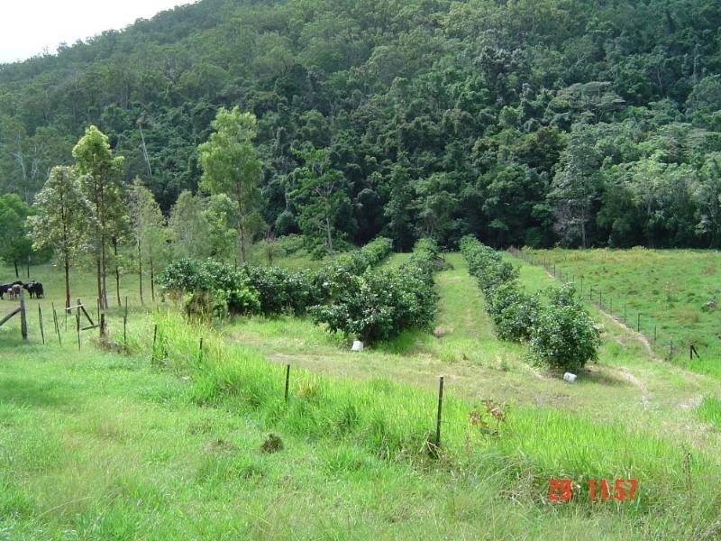 1117 Conway Road, Conway QLD 4800