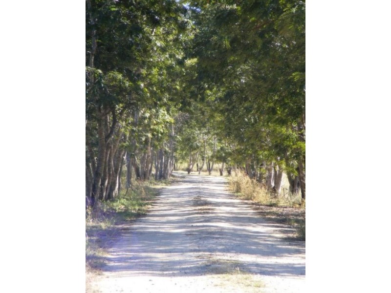 522 Dingo Beach Road, Cape Gloucester QLD 4800