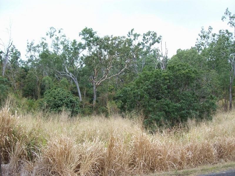 29 Parkland Drive, Cannonvale QLD 4802