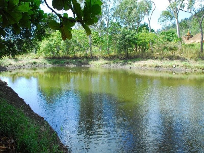 55 Valley Drive, Cannonvale QLD 4802