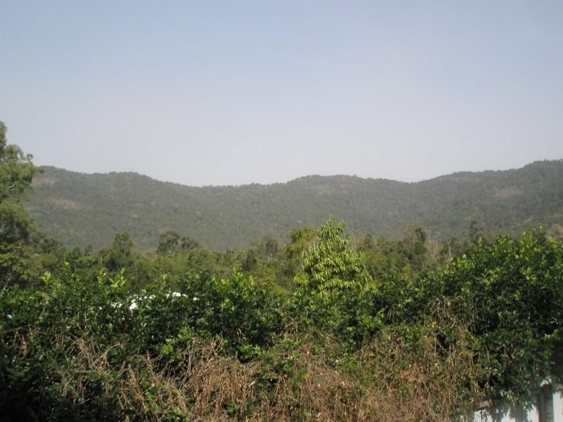 19 Armada Crescent, Jubilee Pocket QLD 4802