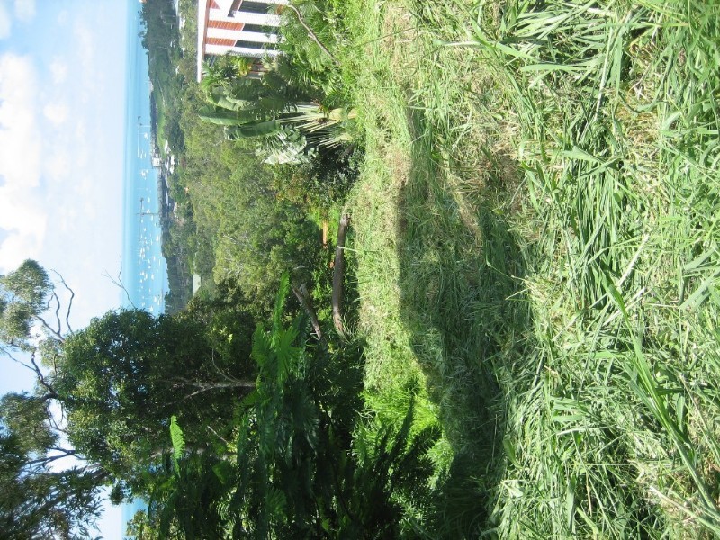 15 Woodwark Crescent, Cannonvale QLD 4802