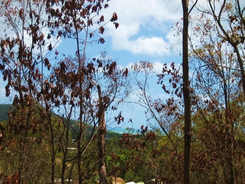Lot 3 Dronley Place, Cannonvale QLD 4802