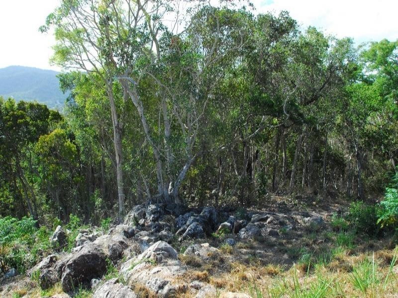 Lot 29 Botanica Drive, Cannonvale QLD 4802