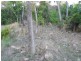 Lot 12 Jessies Way, Cannonvale QLD 4802