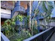 21 & 21a/5 Golden Orchid Drive, Airlie Beach QLD 4802