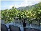 35/21 Shute Harbour Road, Cannonvale QLD 4802