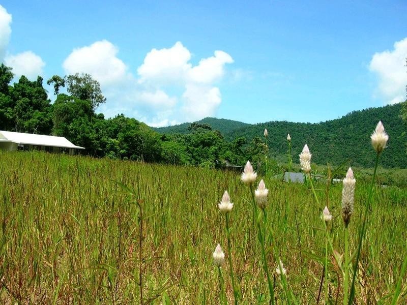 15 Horizon Court, Jubilee Pocket QLD 4802