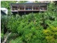 12 Nara Avenue, Airlie Beach QLD 4802