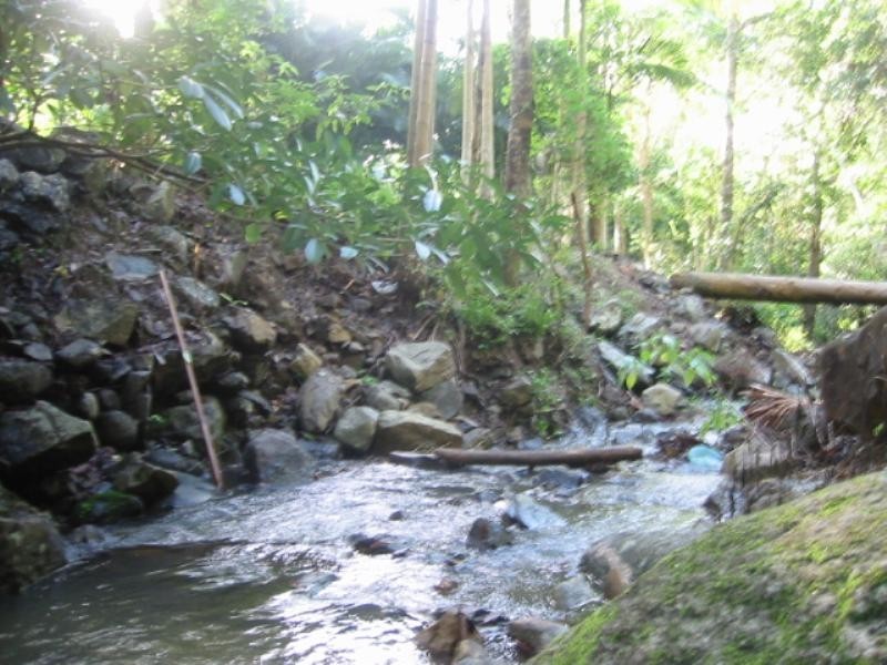 122 Orchid Road, Cannonvale QLD 4802