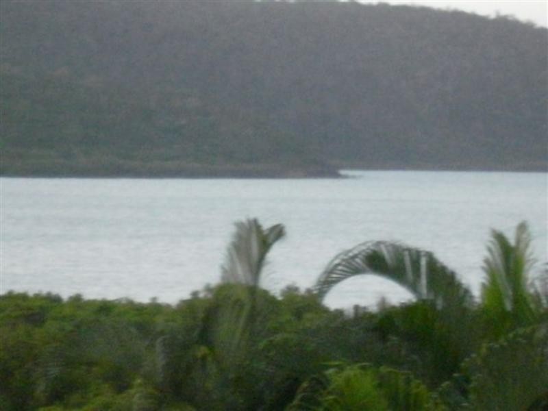 Cannonvale QLD 4802
