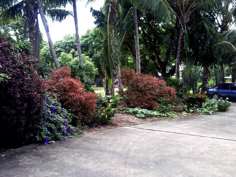 3/3 Maeva Street, Jubilee Pocket QLD 4802