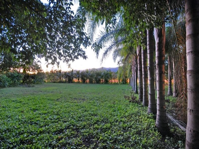 1514 Shute Harbour Road, Cannonvale QLD 4802