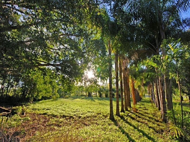 1514 Shute Harbour Road, Cannonvale QLD 4802