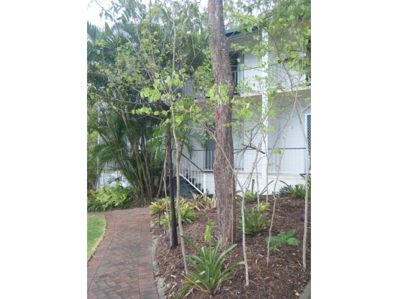 3/7 Begley Street, Airlie Beach QLD 4802