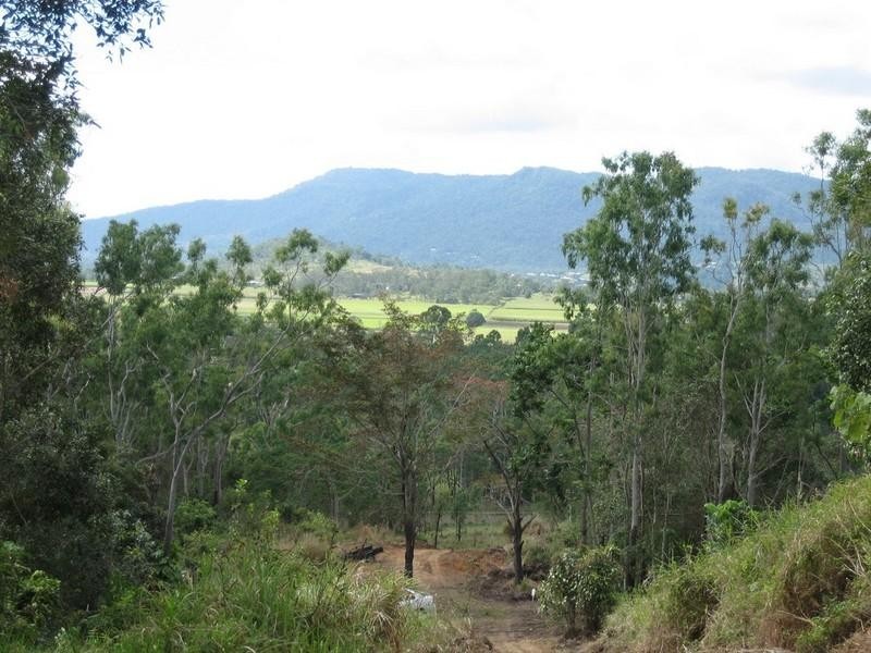 461 Sugarloaf Road, Sugarloaf QLD 4800