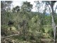 461 Sugarloaf Road, Sugarloaf QLD 4800