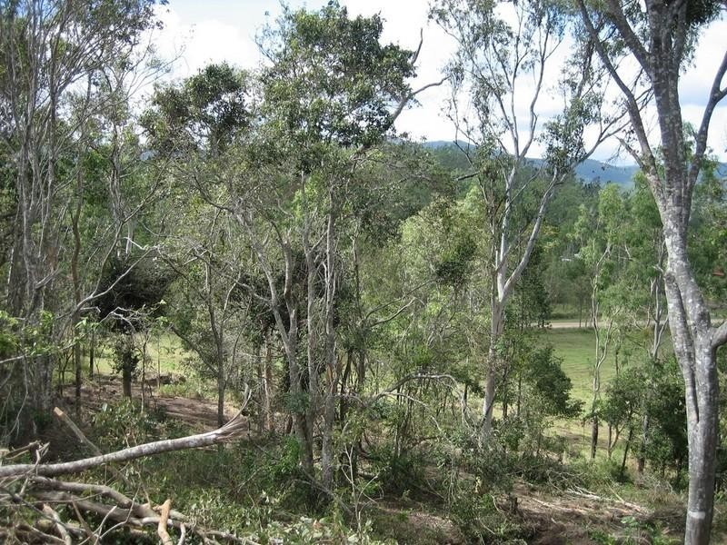 461 Sugarloaf Road, Sugarloaf QLD 4800