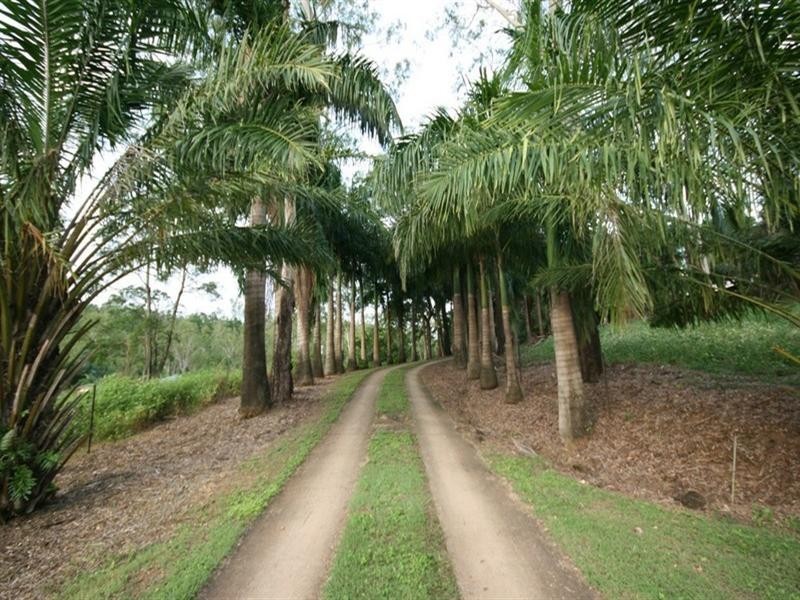 24 Telford Road, Strathdickie QLD 4800