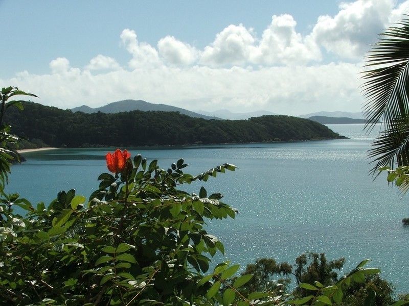 5 Warrain Street, Shute Harbour QLD 4802