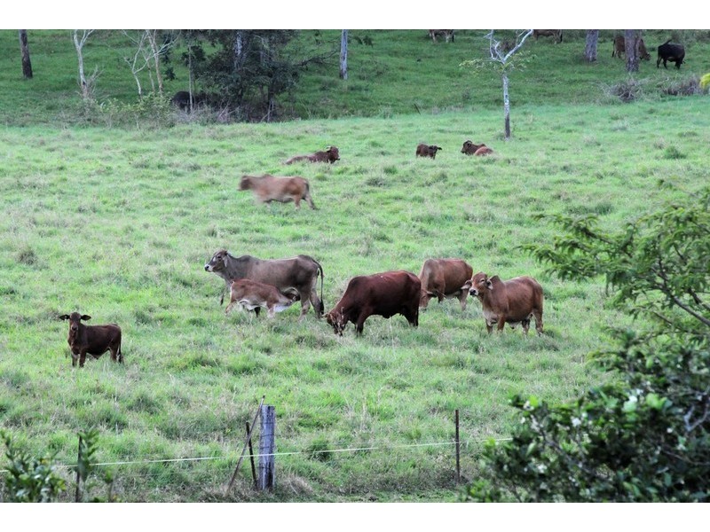 1687 Conway Road, Conway QLD 4800