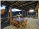 37 Pringle Road, Cannonvale QLD 4802