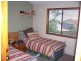 Cannonvale QLD 4802