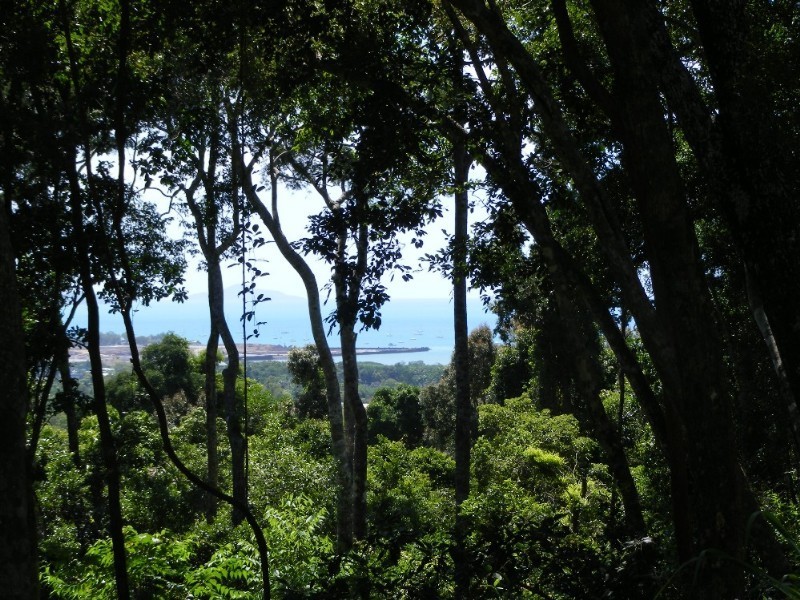 Lot 7 Timberland Road, Jubilee Pocket QLD 4802