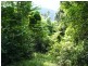 Lot 7 Timberland Road, Jubilee Pocket QLD 4802