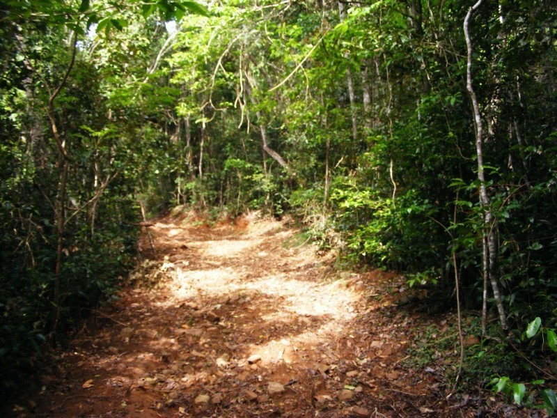 Lot 7 Timberland Road, Jubilee Pocket QLD 4802