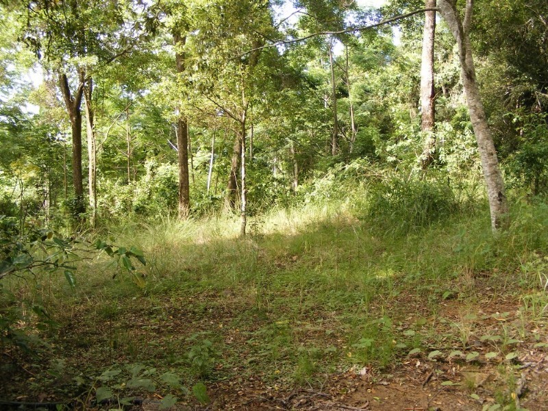 Lot 7 Timberland Road, Jubilee Pocket QLD 4802