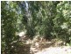 Lot 7 Timberland Road, Jubilee Pocket QLD 4802
