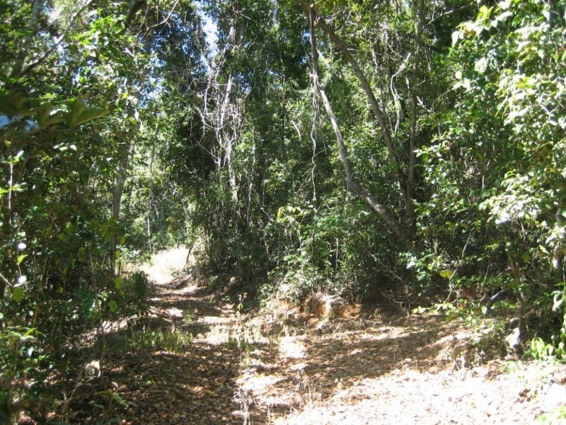 Lot 7 Timberland Road, Jubilee Pocket QLD 4802