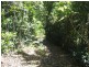 Lot 7 Timberland Road, Jubilee Pocket QLD 4802
