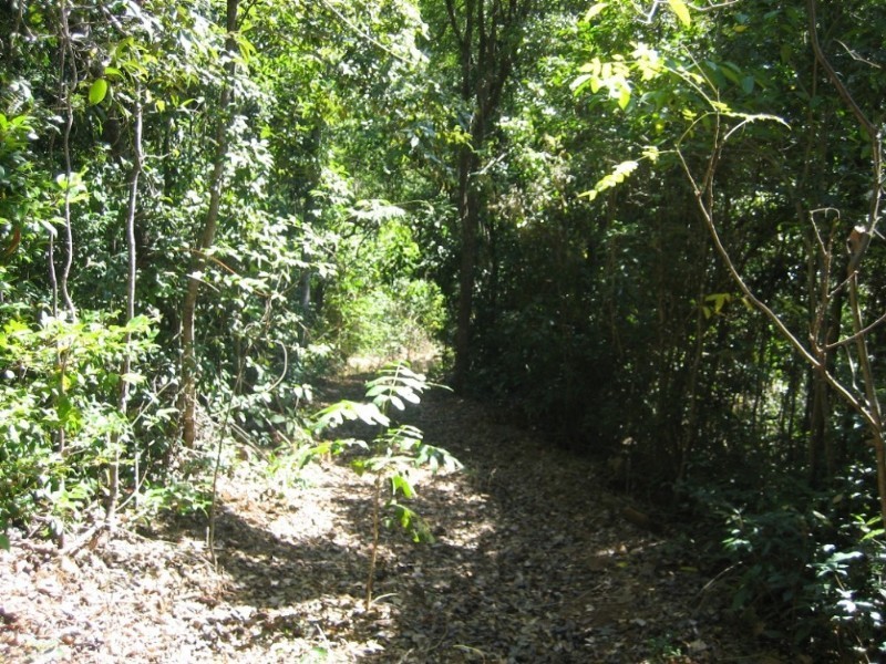 Lot 7 Timberland Road, Jubilee Pocket QLD 4802