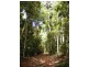 Lot 7 Timberland Road, Jubilee Pocket QLD 4802