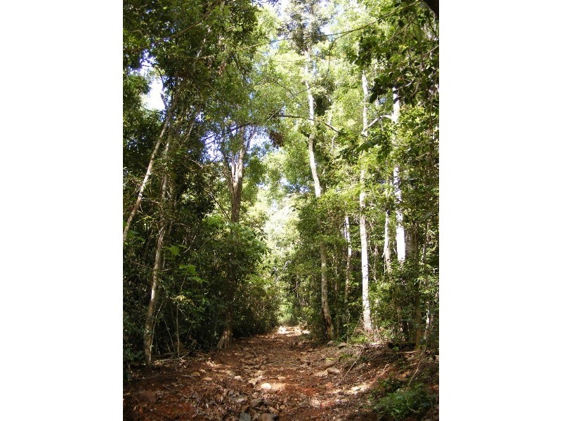 Lot 7 Timberland Road, Jubilee Pocket QLD 4802