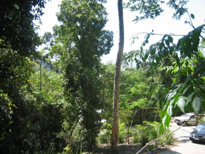 Lot 7 Timberland Road, Jubilee Pocket QLD 4802