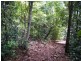 Lot 7 Timberland Road, Jubilee Pocket QLD 4802